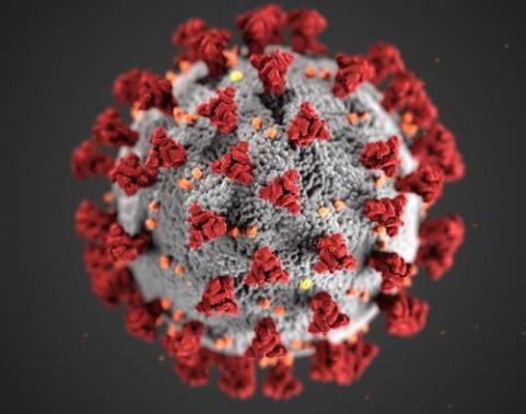 Close up image of the Coronavirus 2019, COVID-19