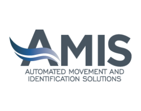 AMIS logo